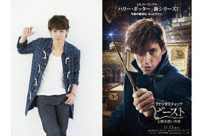 宮野真守の吹替入り！ハリポタ新シリーズ『ファンタビ』映像が初公開 画像