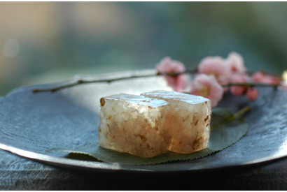 【3時のおやつ】春を呼ぶ桜の和スイーツ、「HIGASHIYA」の季節限定「桜の道明寺羹」 画像