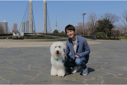 「ZIP！」キャラバン、そらの新しい相棒は“癒し系”の23歳！ 画像