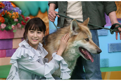 山本美月＆伊野尾慧『ピーチガール』コンビが登場「天才!志村どうぶつ園」 画像