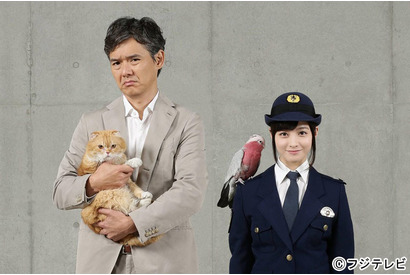 渡部篤郎×橋本環奈、初共演！動物から謎解くミステリードラマ 画像