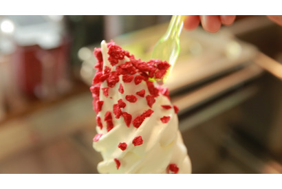 お好みでアイスを”SNS映えトッピング”！ 噂のアイススタンド 画像