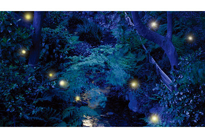 ふわりと蛍が舞う景色 「ホテル椿山荘東京」初夏の風物詩「ほたるの夕べ ディナーブッフェ」 画像