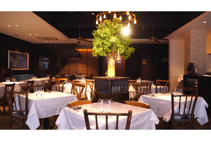 美しすぎる「壁庭」は圧巻！ 感動体験にあふれた環地中海レストラン 画像