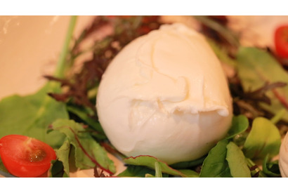 生クリームより濃厚!? 日本初の水牛モッツァレラチーズ専門店 画像