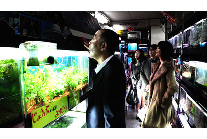 満島ひかり主演の未公開作も上映！　園子温監督作品の特集上映開催決定　 画像