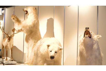 この夏は東京の“南極・北極”でヒンヤリ体験!? 「南極・北極展」 画像