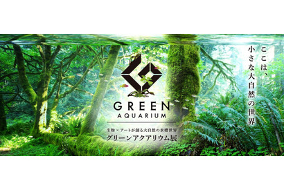 “生物×アート“が創る大自然の水槽世界「グリーンアクアリウム展」開催！ 画像
