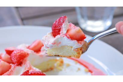 アメリカで人気急上昇！ ビスケットサンドが話題のカフェ 画像