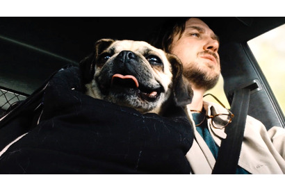 ブサカワ犬・ガンジー、“ふがふが”映像到着！『ブルーム・オブ・イエスタディ』 画像