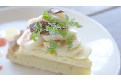 コーヒー豆のプロが贈る！ 人気カフェのスペシャリティコーヒー 画像