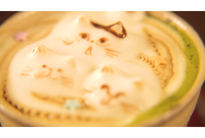 隠れ猫を探せ！ 猫のいない猫カフェでラテアートにほっこり 画像