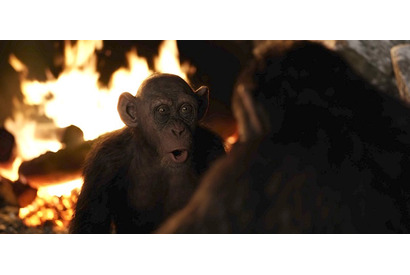 「バッド・エイプが可愛すぎ」『猿の惑星』のなごみ系“愛されキャラ”映像入手 画像