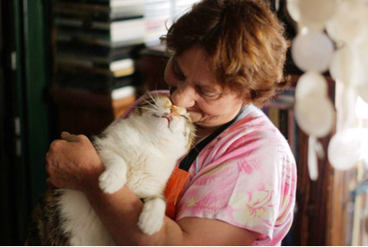 【シネマVOYAGE】地上10cmの“猫目線”でイスタンブールの街へ 画像