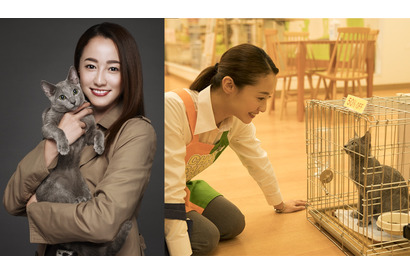 沢尻エリカ、6年ぶりの主演作は“猫映画”！ 犬童一心監督と初タッグ『猫は抱くもの』 画像