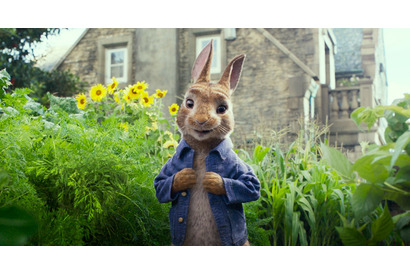 動くピーターが超キュート！ 実写版『ピーターラビット』5月に公開 画像