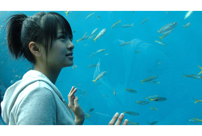 必見のお正月映画はこれ！ vol.3　『僕は妹に恋をする』に完敗！ 画像