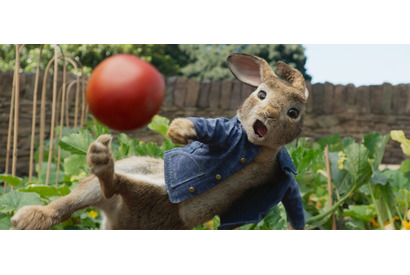 【ご招待】ゲスト登壇『ピーターラビット』ジャパンプレミア試写会に5組10名様 画像