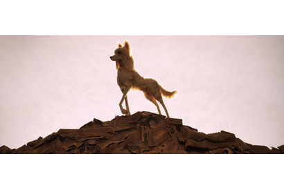 スカーレット・ヨハンソンの美人犬登場で恋の予感？ 『犬ヶ島』本編映像 画像