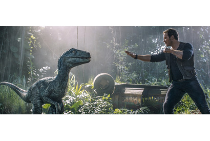 クリス・プラット、“相棒”ブルーとの絆語る！未公開映像満載『ジュラシック・ワールド』 画像