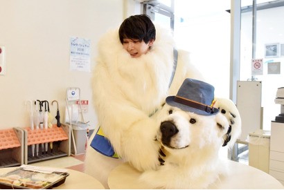 吉沢亮、波瑠主演「サバイバル・ウェディング」まさかの“着ぐるみ姿”で撮入 画像