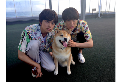 北村匠海と中川大志が湘南で犬＆猫と触れ合う！「もふもふモフモフ」夏の拡大SP 画像