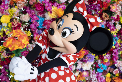 【ディズニー】蜷川実花がTDRとコラボ！「キャラが輝いてみえる」「相性良すぎ」と絶賛の嵐 画像