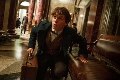 『ファンタビ』は地上波初！金ロー『ハリポタ』最終章2部作から3週連続放送 画像