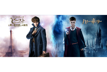 『ハリポタ』＆『ファンタビ』魔法ワールド、世界興収1兆円突破！ 画像