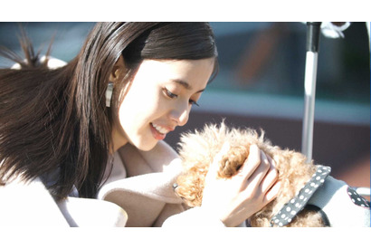 「乃木坂46」齋藤飛鳥の40日間に密着！ 初の上海単独公演の様子も…「情熱大陸」 画像