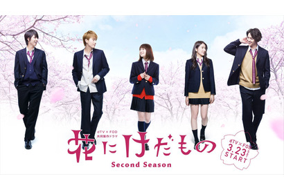 中村ゆりか＆杉野遥亮ら出演「花にけだもの」“卒業”描くオリジナル続編配信決定 画像