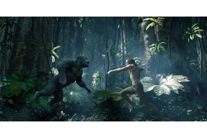 桐谷健太の声にも注目！ジャングルの王者を新たな解釈で描く『ターザン：REBORN』放送 画像