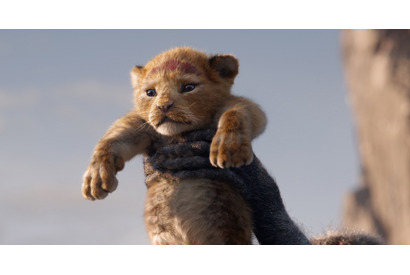 未来の王“シンバ”誕生を祝福！実写版『ライオン・キング』特報 画像