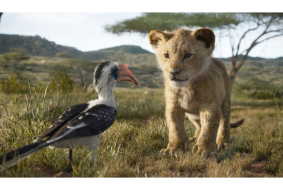 シンバ、未だ見ぬ世界へ『ライオン・キング』日本版予告 画像