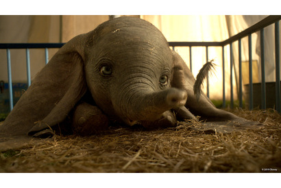 ティム・バートンが空を飛ぶ？ コリン・ファレルもニコニコ笑顔『ダンボ』NG集 画像