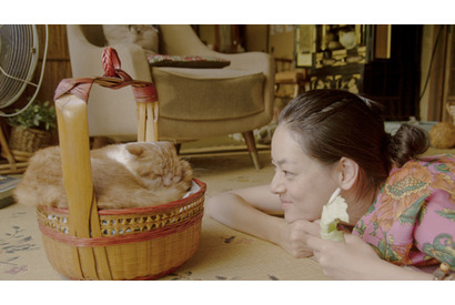 『かもめ食堂』荻上直子監督の最新作『レンタネコ』、ベルリン映画祭出品決定 画像