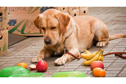 おバカで天然のまさお君、映画撮影中も珍騒動!?　その一部写真を入手！ 画像