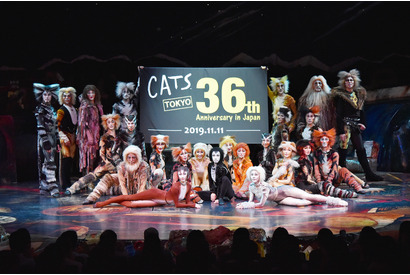 劇団四季「キャッツ」日本上演36周年、特別カーテンコール実施 画像
