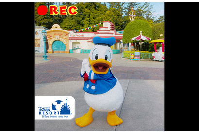 【ディズニー】2019年TDR公式SNSランキング発表！ナンバーワン“いいね”は？ 画像