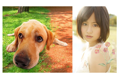大の犬好き、前田敦子が『LOVE　まさお君が行く！』主題歌を担当！ 画像