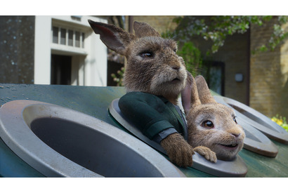 『ピーターラビット2』全米公開延期に伴い日本も公開日未定に 画像