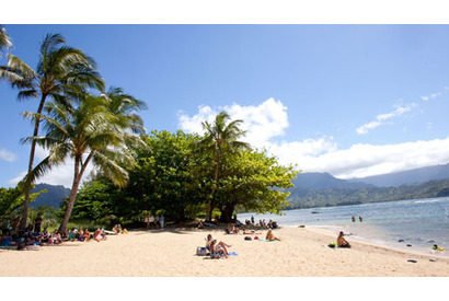 “素顔”を見たら、もっと好きになっちゃいそう。『ファミリー・ツリー』×ハワイ 画像