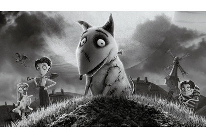 不気味カワイイ“フラン犬”スパーキーに胸キュン！『フランケンウィニー』予告編解禁 画像