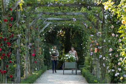 美しいバラが大集合！『ローズメイカー』冒頭映像 画像