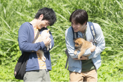 中川大志「“ワンちゃんファースト”で」映画『犬部！』撮影裏の無邪気な表情と迫真の熱演に注目 画像
