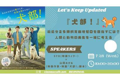 『犬部！』殺処分＆多頭飼育崩壊ゼロを目指すには？人間と動物の共生を一緒に考える＜アーカイブ＞ 画像