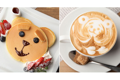 テッドがかわいいパンケーキとカフェ・ラッテに！「CAFE NOISE」とコラボレーション 画像