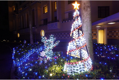 【ディズニー】イルミネーション＆ツリーにうっとり！ディズニーアンバサダーホテルの素敵なクリスマス 画像