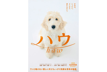 犬童一心監督、犬と青年の絆を描く『ハウ』公開！ 超特報映像も 画像
