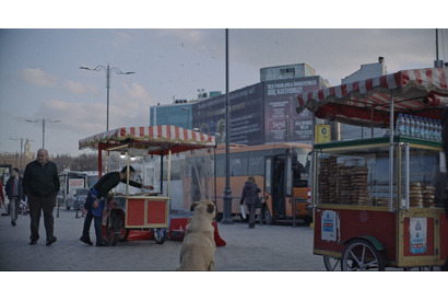 イスタンブールの観光名所を犬たちが悠々歩く『ストレイ 犬が見た世界』本編映像 画像